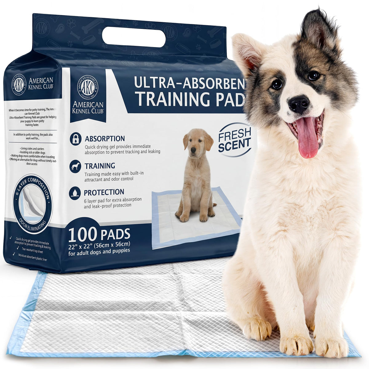 Tapis AKC Puppy avec absorption rapide pour garder le sol sec après chaque pipi.