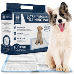 Tapis AKC Puppy avec absorption rapide pour garder le sol sec après chaque pipi.