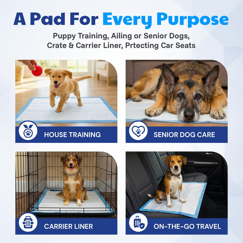 Pack AKC 100 tapis pratique et économique pour un entraînement régulier.