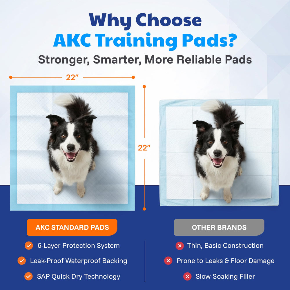 Surface douce AKC adaptée aux petites pattes pendant l’apprentissage.