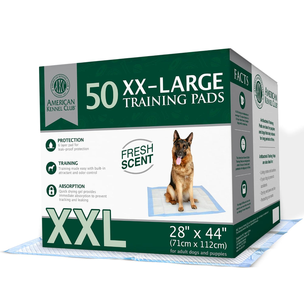AKC Tapis parfumé pour chiots XXL 28x34 absorption rapide et sol sec