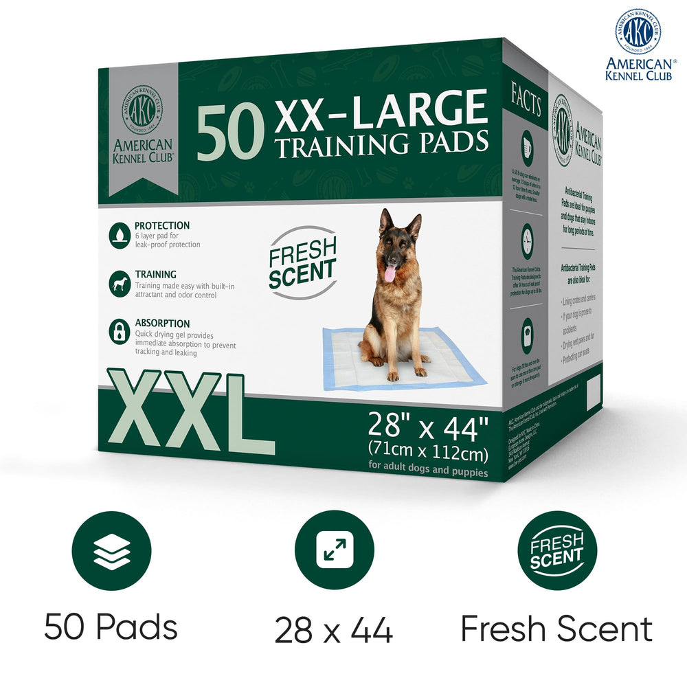 AKC Tapis parfumé pour chiots XXL 28x34 contrôle des odeurs