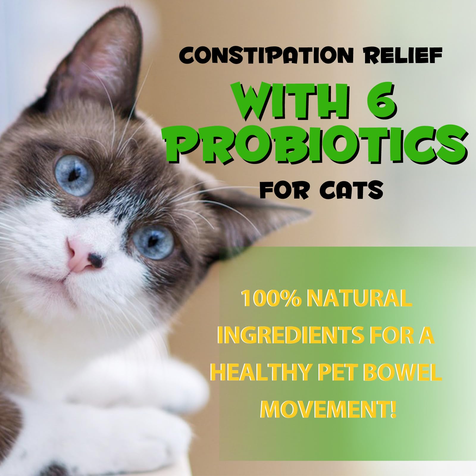 Doser avec précision: gouttes laxatives Akeeronn pour chat.