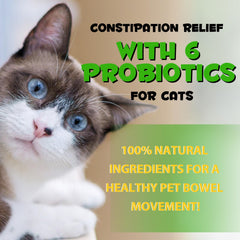 Doser avec précision: gouttes laxatives Akeeronn pour chat.