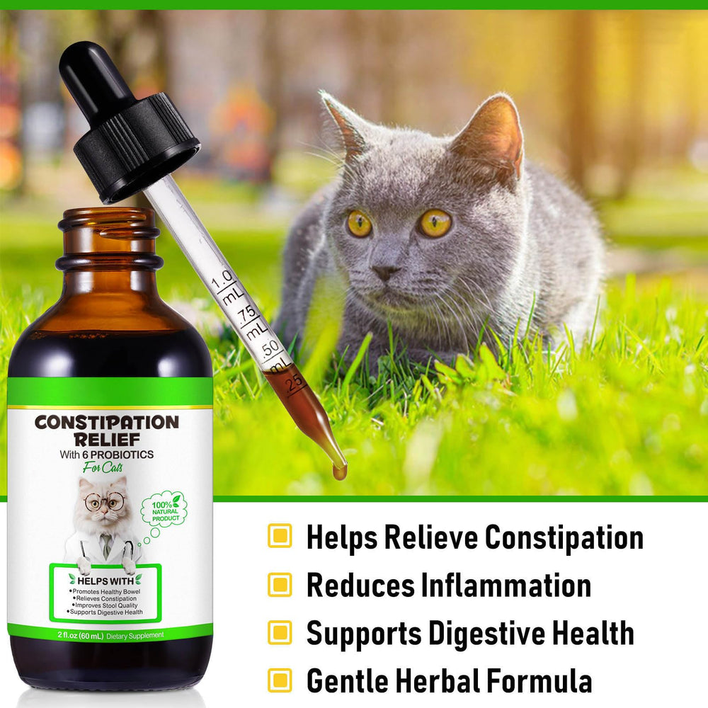 Gouttes Akeeronn pour chat, soutien digestif et commodité.