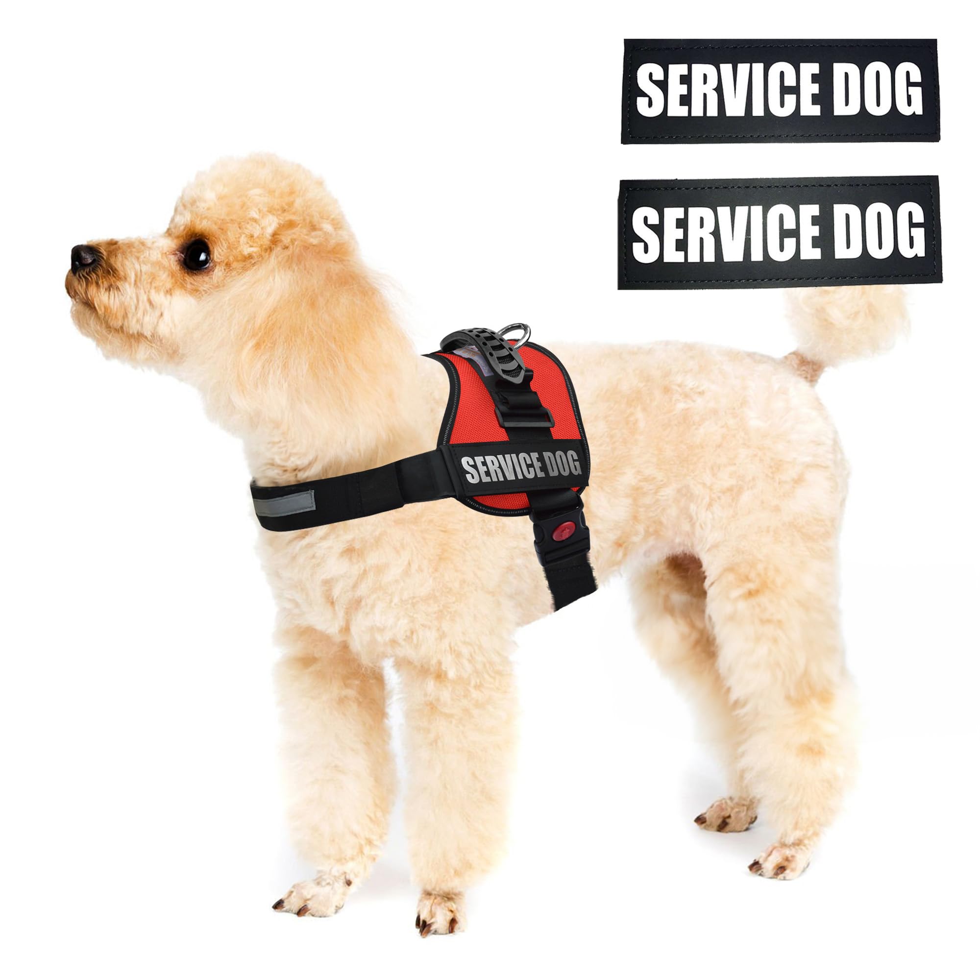 ALBCORP gilet chien-service rembourrage mesh pour le confort du chien