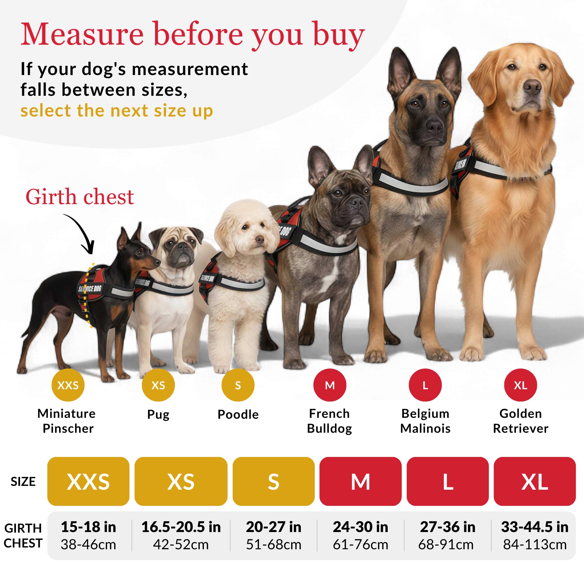 ALBCORP gilet service chien boucle robuste en inox pour une durabilité quotidienne.