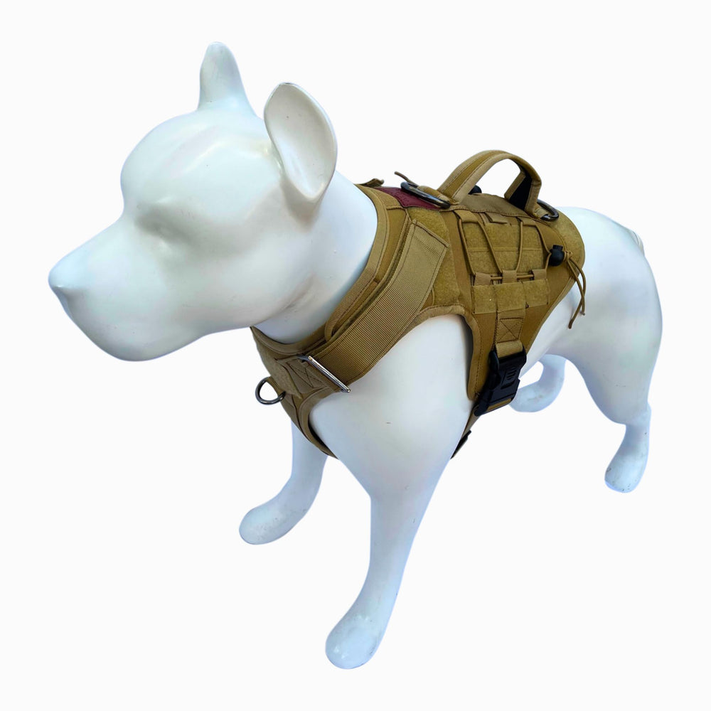 ALBCORP harnais chien tactique réglage sangles et boucles sécurisées.