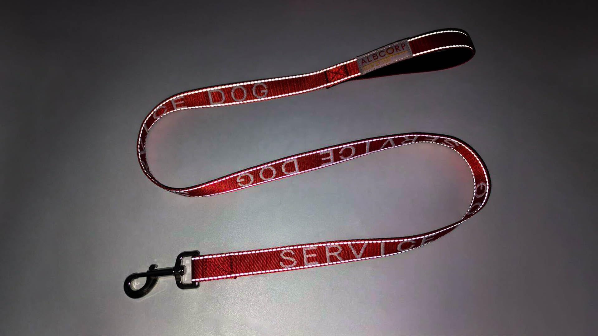 ALBCORP Laisse-Service-Dog Nylon-Tisse-Robuste : construction durable pour usage quotidien.