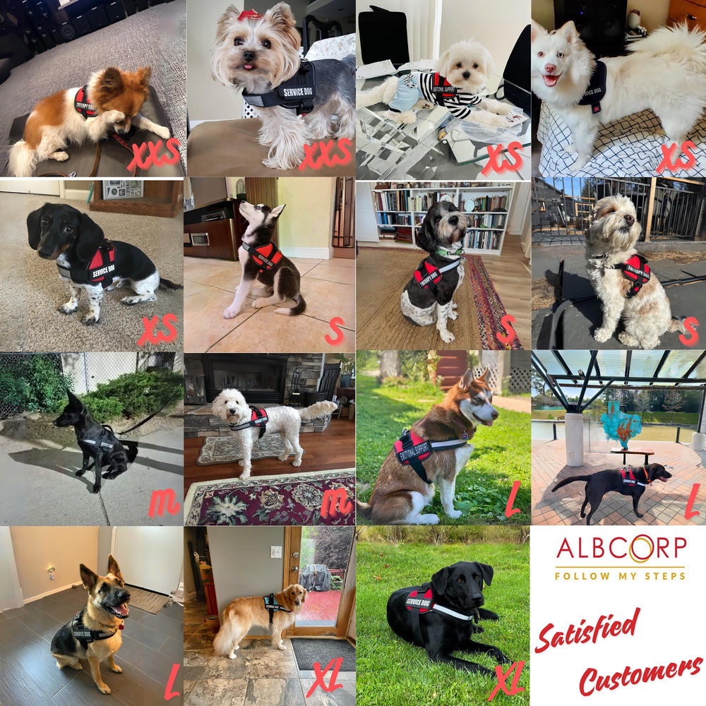 ALBCORP Veste service chien - bordure réfléchissante pour meilleure visibilité nocturne.