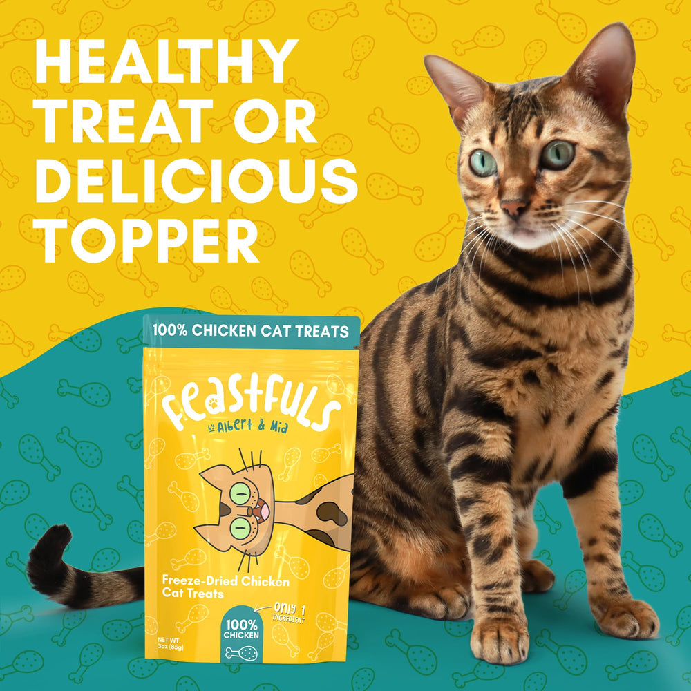 ALBERT ET MIA Feastfuls: texture molle agréable pour chats sensibles.