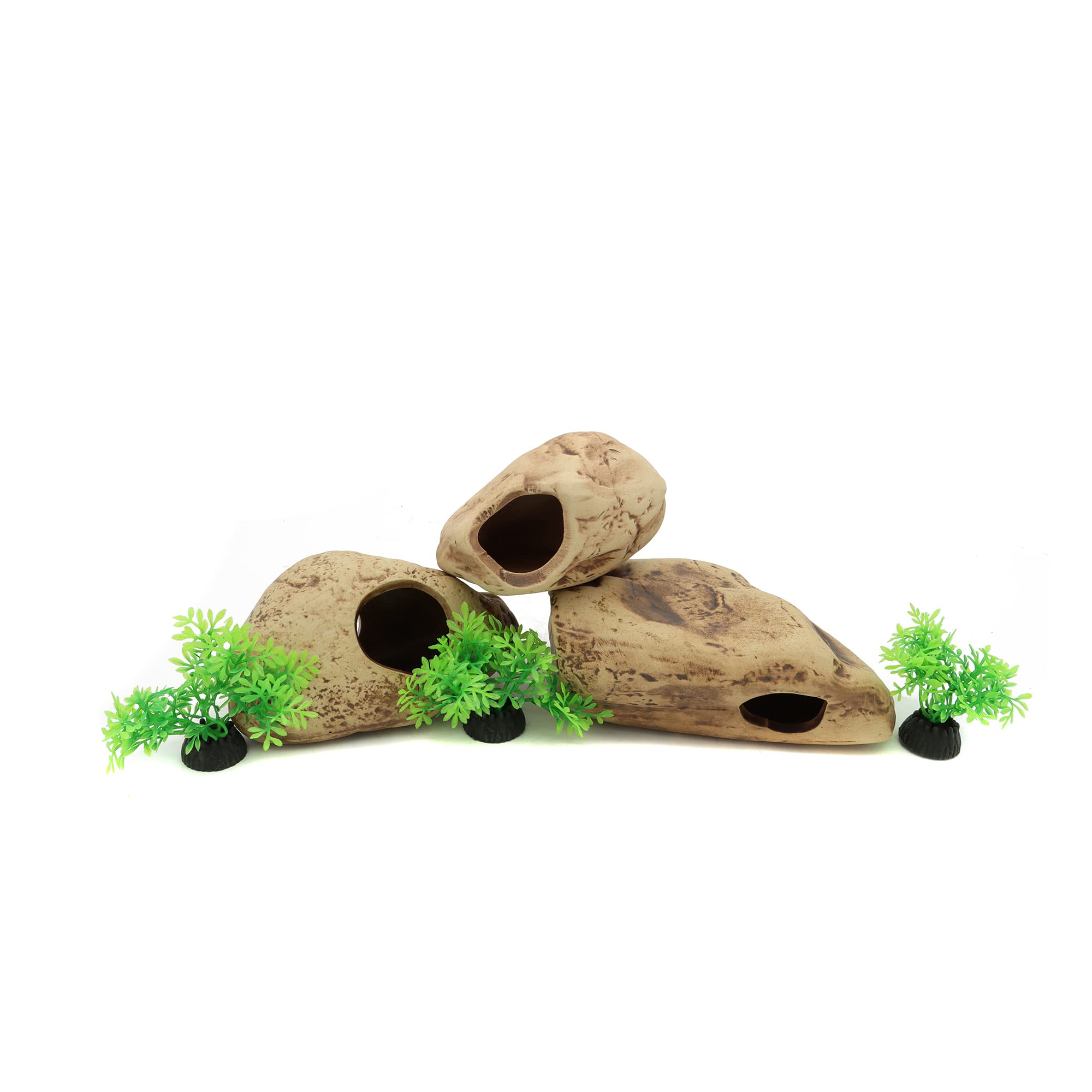 Alegi bords-sans-arêtes, protection des nageoires et entretien facile.
