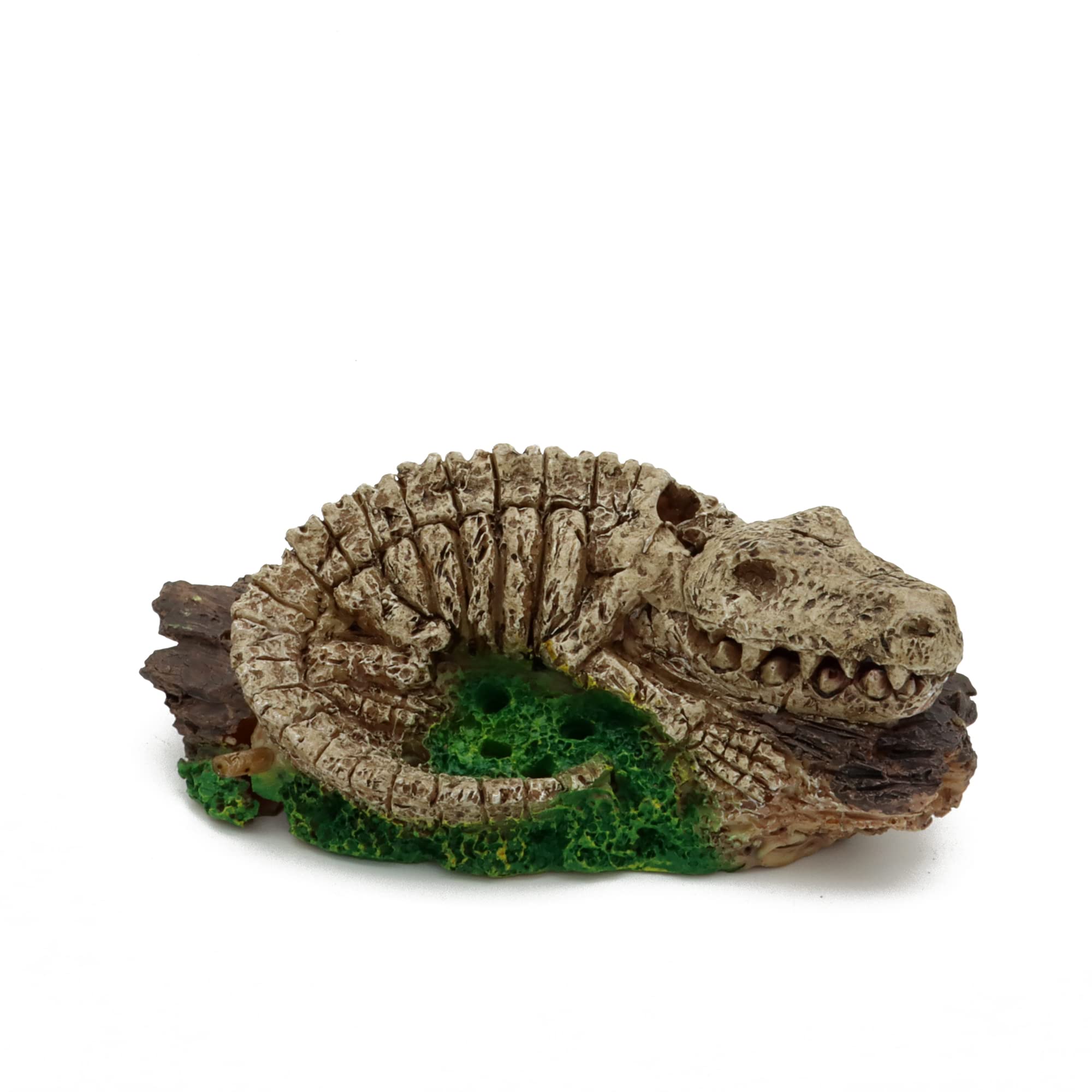 ALEGI dinosaure bulleur d'aquarium, décor ludique et aération légère