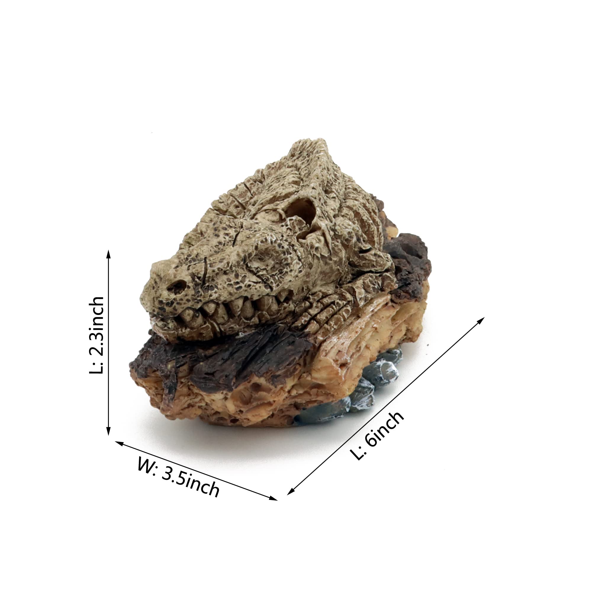 ALEGI bulleur dinosaure avec tubes et ventouse outil pratique pour aquariophilie
