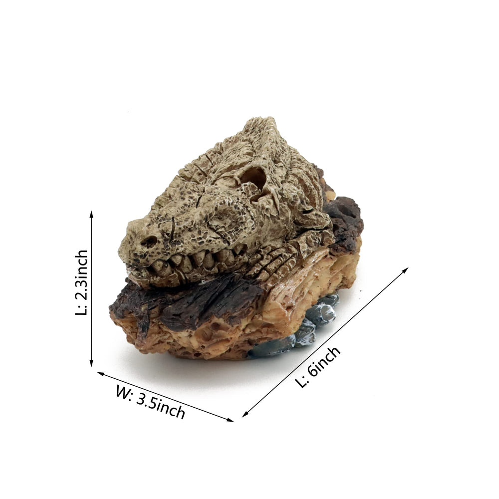 ALEGI bulleur dinosaure avec tubes et ventouse outil pratique pour aquariophilie