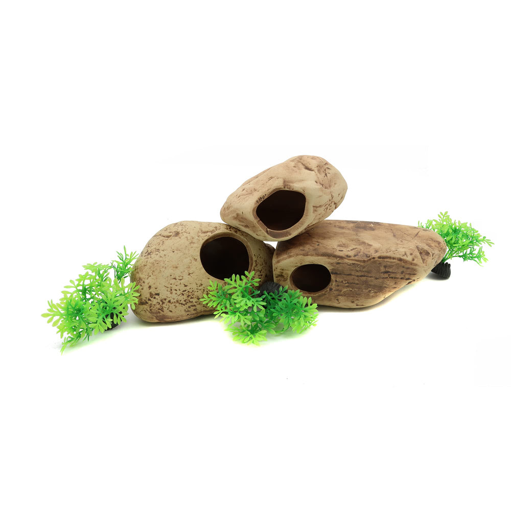 Alegi nettoyage-simple, résistant et durable, idéal pour aquariums actifs.