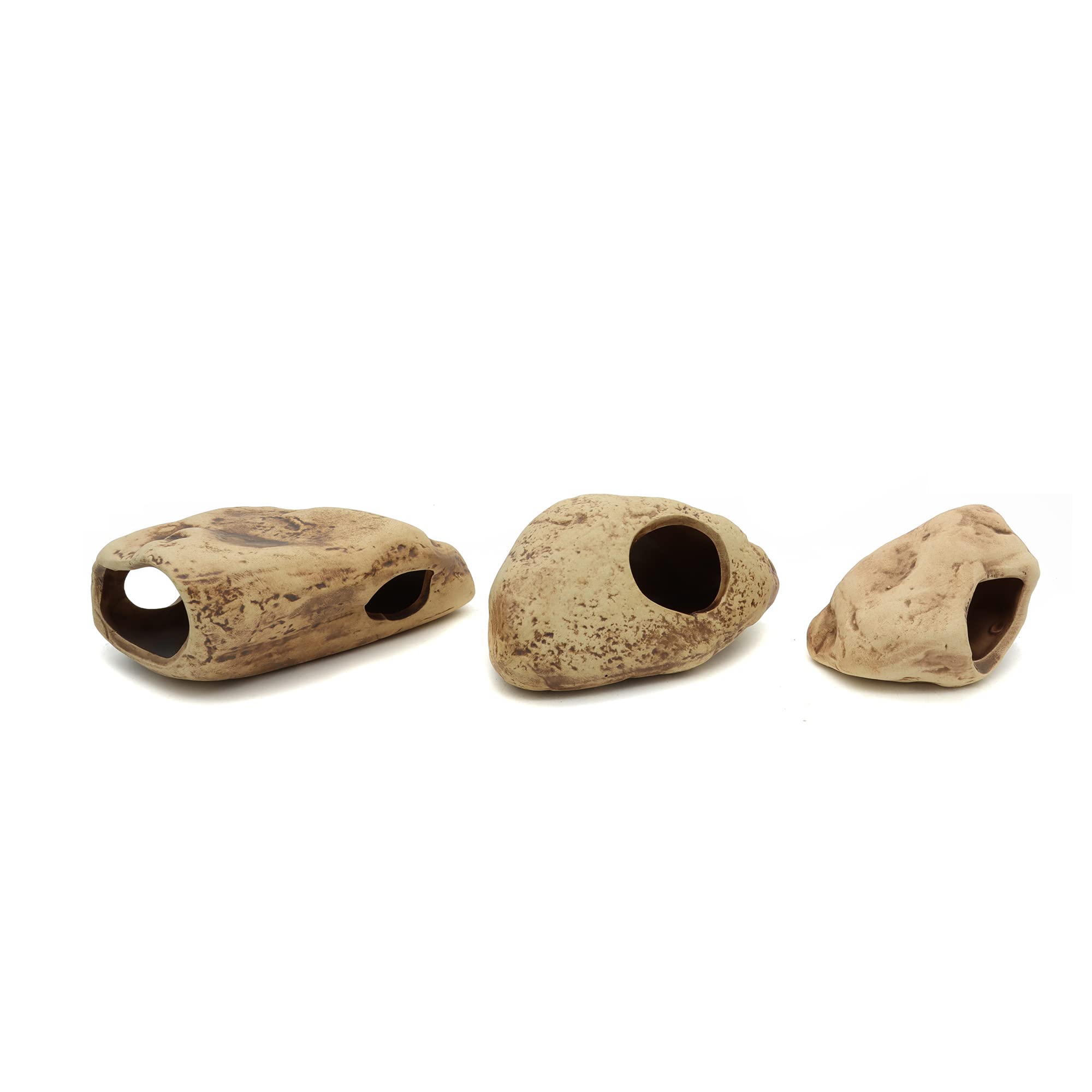 Alegi orifices-refuges-petits-poissons, passages sûrs, stimulent nage et exploration sans coins tranchants.