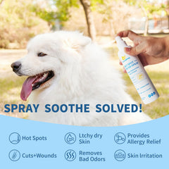 ALEVERPAW Spray démangeaisons chien chat – application facile sans alcool.