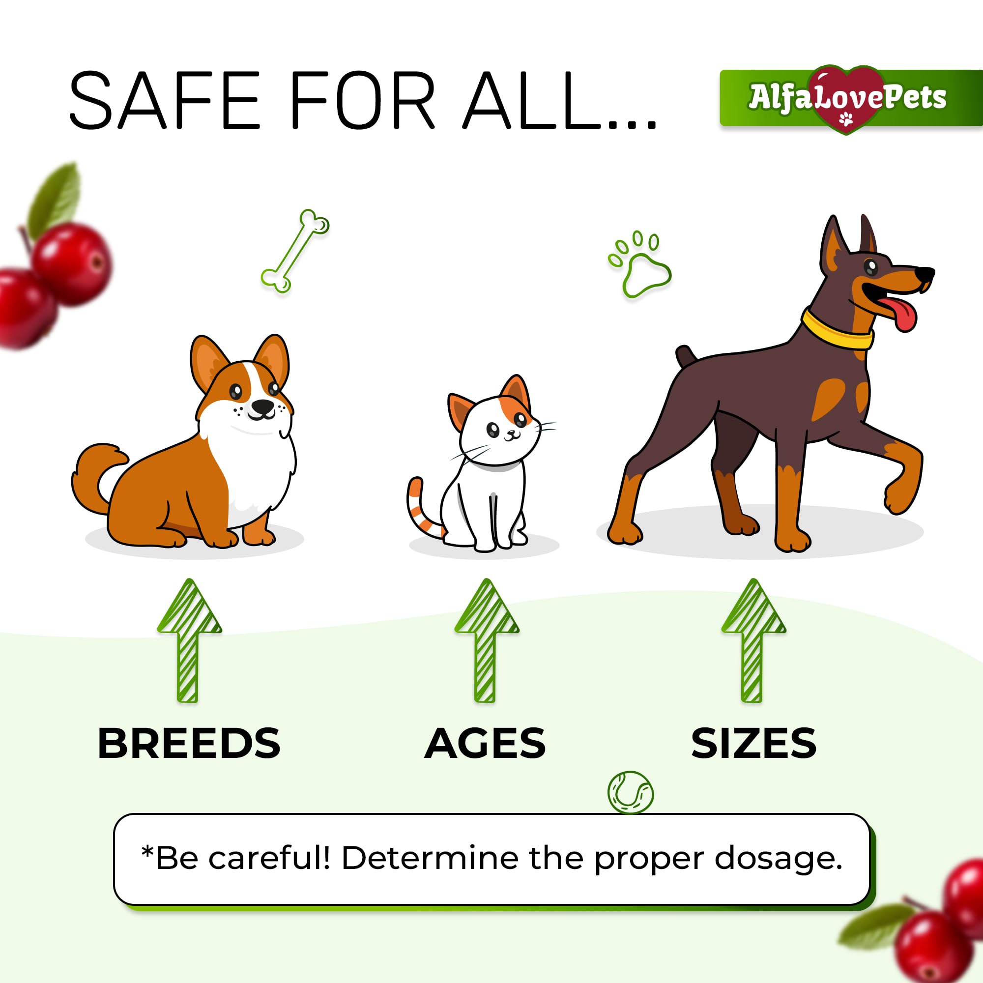 Ingrédients sûrs Alfa Love Pets avec canneberge pour l’UTI.