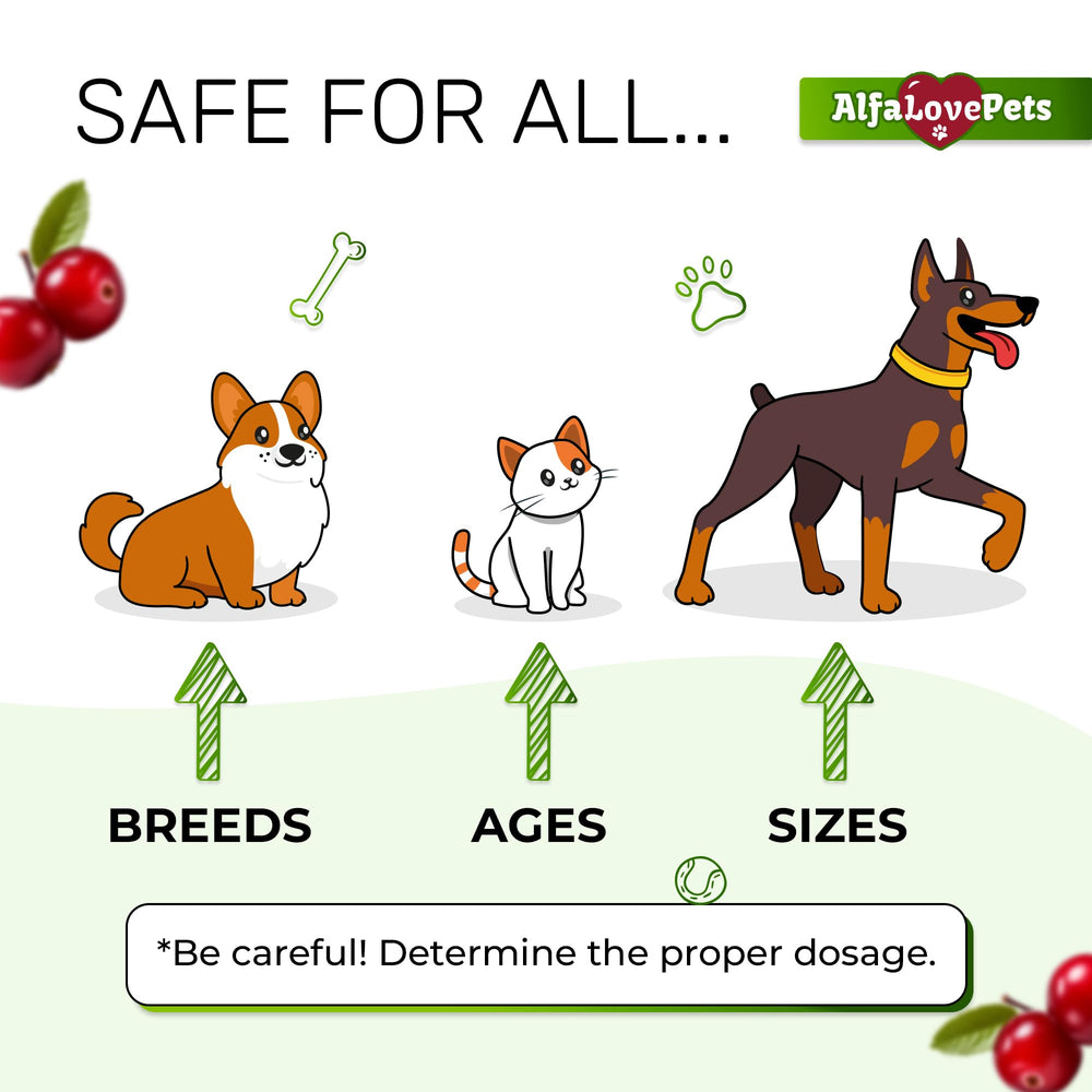 Ingrédients sûrs Alfa Love Pets avec canneberge pour l’UTI.