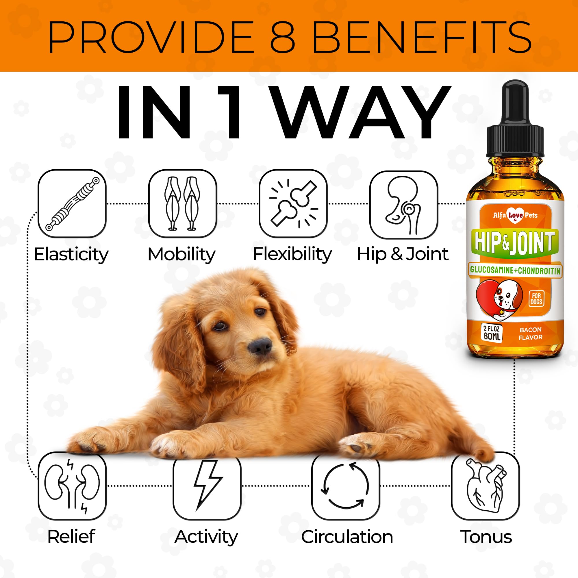 Alfa Love Pets glucosamine pour chiens, dosage précis, administration facile.