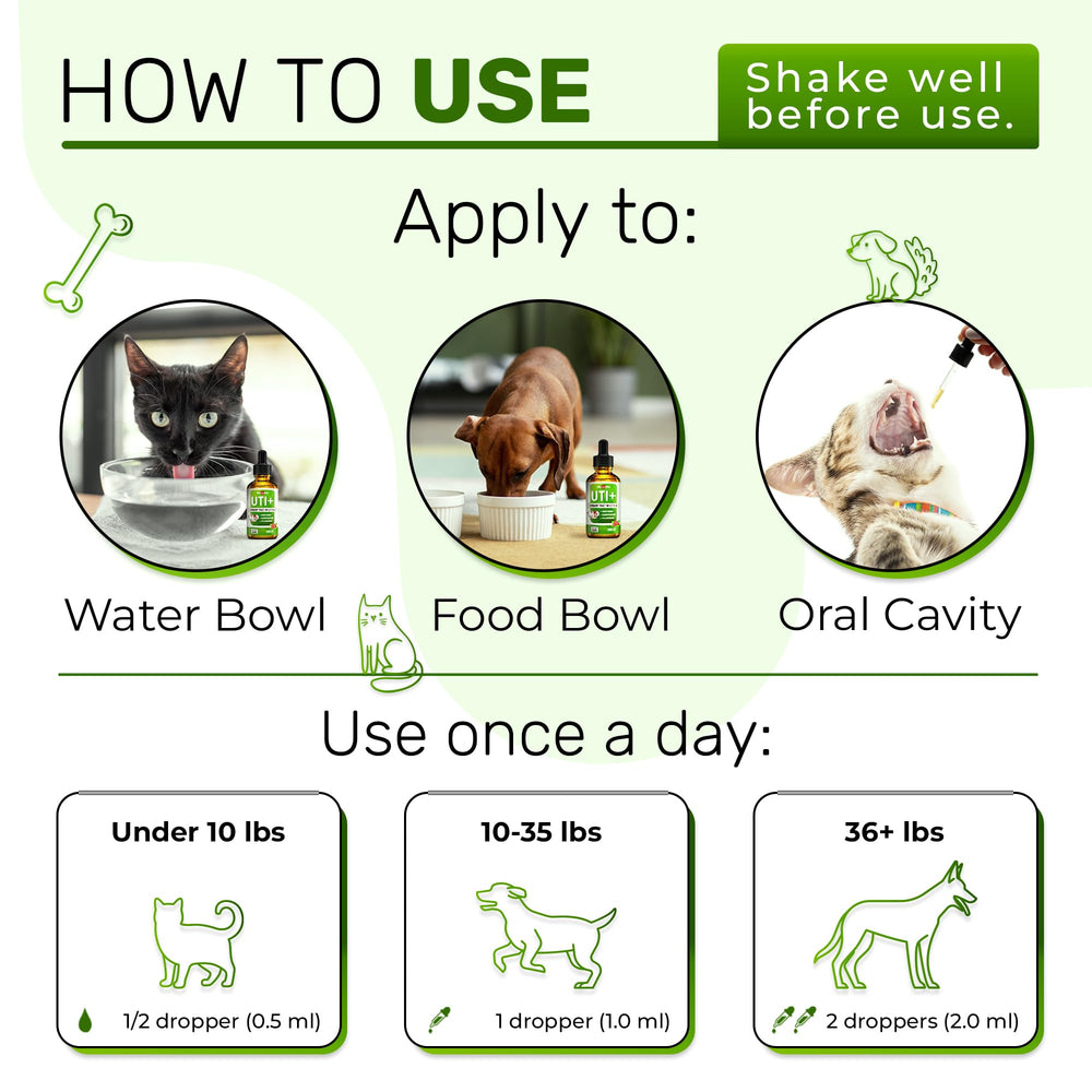 Chat utilisant le soutien urinaire Alfa Love Pets pour l’UTI.