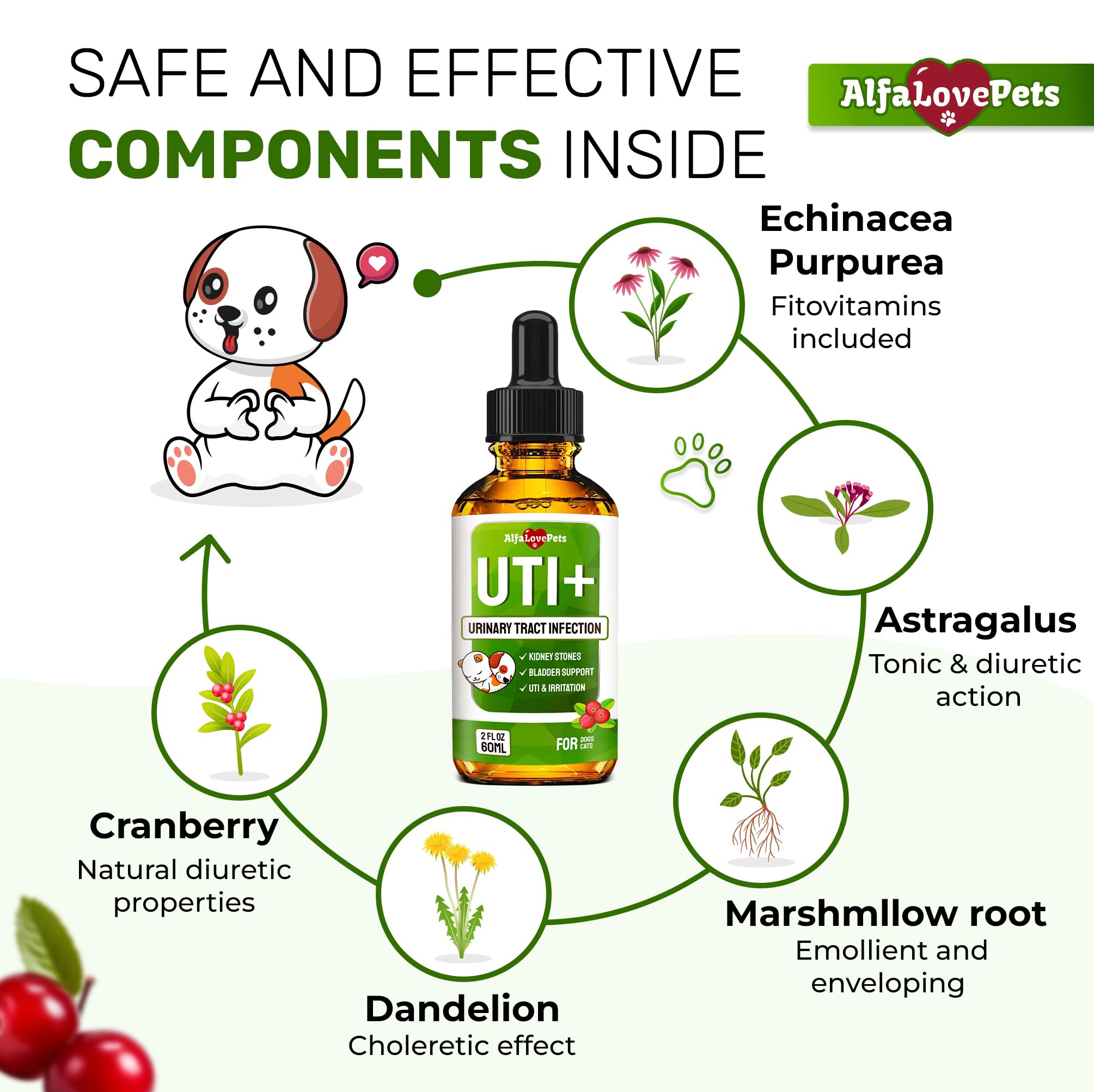 Chien utilisant le soutien urinaire Alfa Love Pets pour l’UTI.