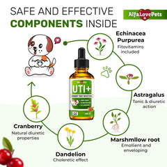 Chien utilisant le soutien urinaire Alfa Love Pets pour l’UTI.