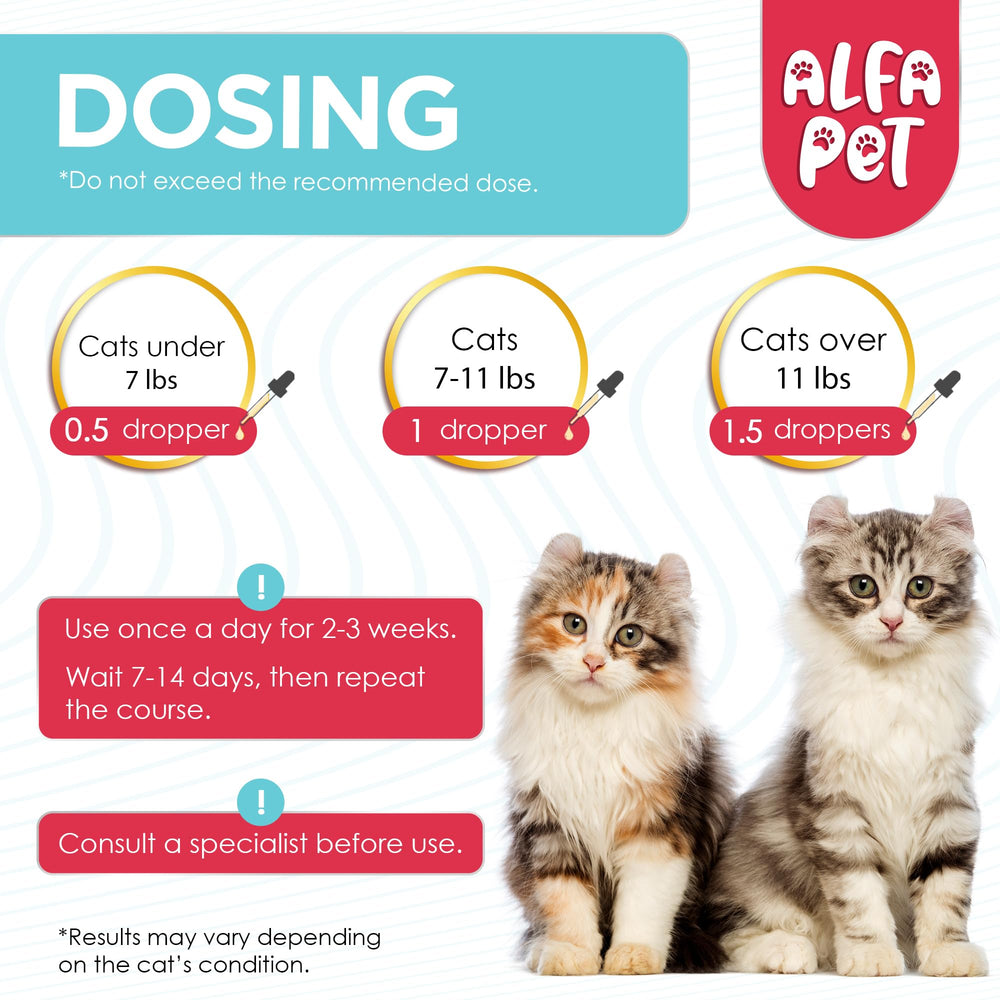 Alfa Pet L Lysine pour chats — complexe vitamines A et B, nutrition complémentaire.