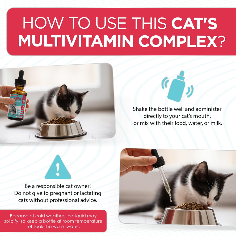 Alfa Pet L Lysine pour chats — guide de dosage selon le poids pour une utilisation pratique.