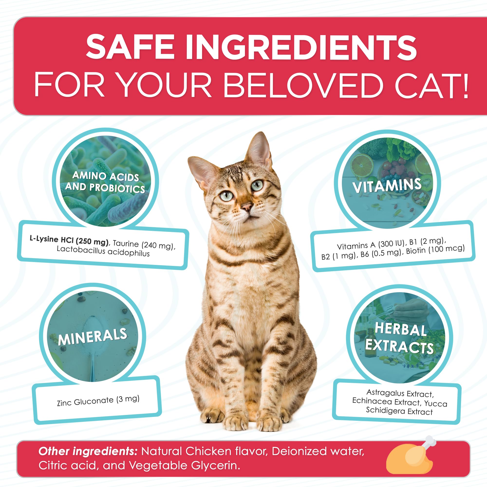Alfa Pet L Lysine pour chats — probiotique intégré, meilleure digestion et soutien immunitaire.