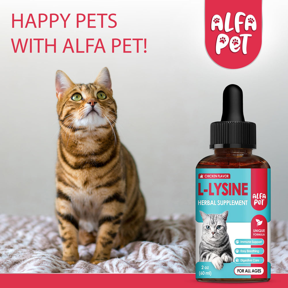 Alfa Pet L Lysine pour chats — utilisation quotidienne facilitant le soutien nutritionnel.