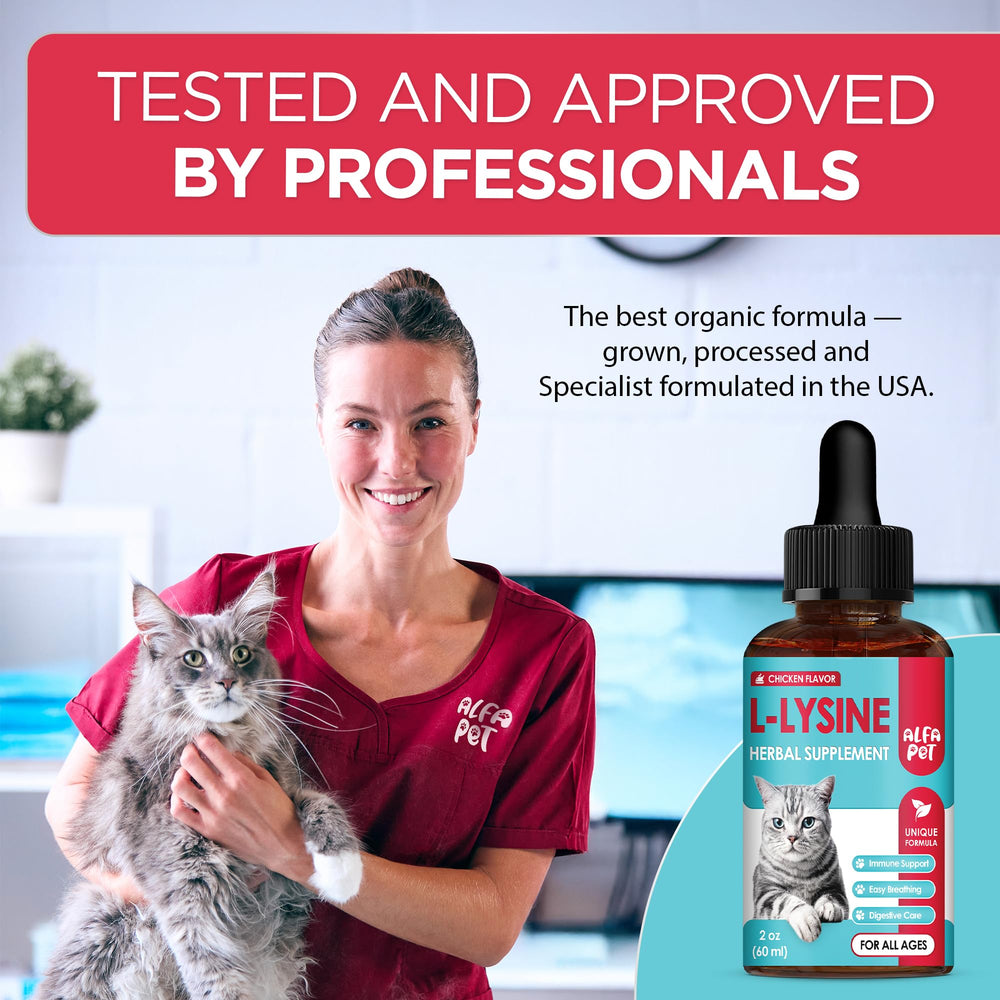 Alfa Pet L Lysine pour chats — amélioration potentielle de la digestion et du confort intestinal.