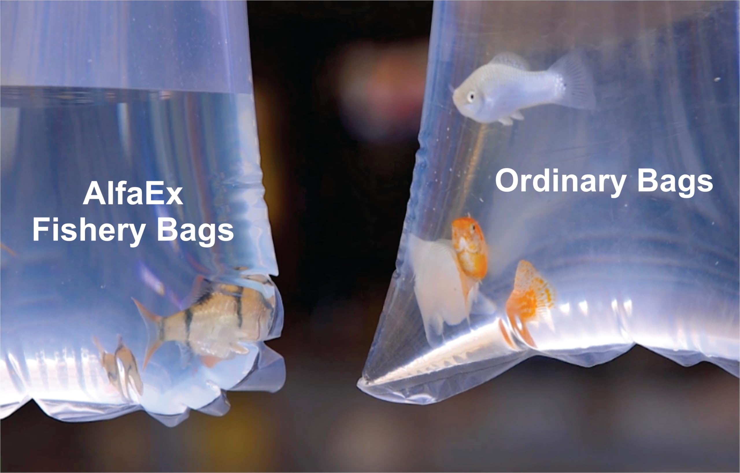 AlfaEx Sacs Poissons Clarté Supérieure, sac transparent facilitant le contrôle.