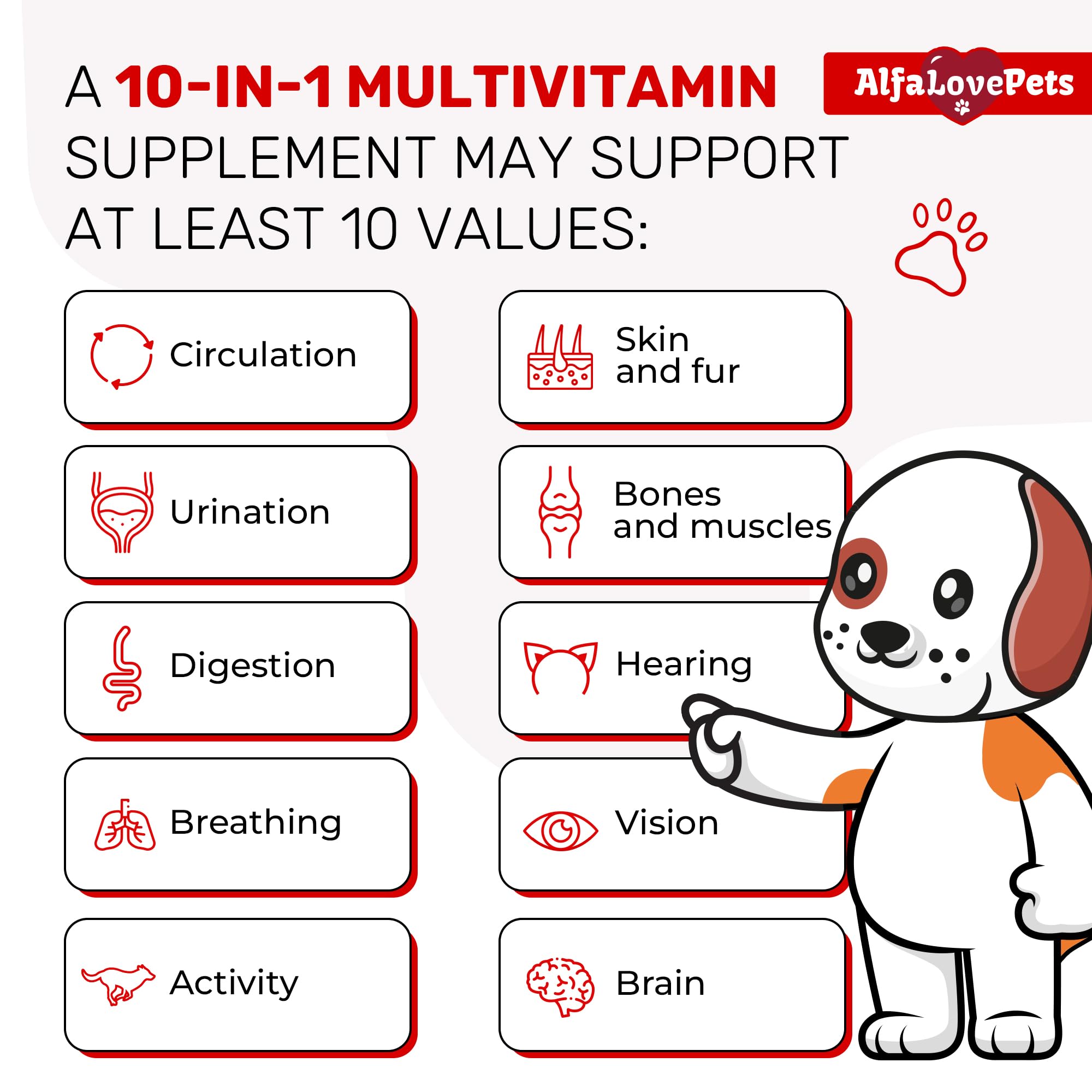 Complexe 10-en-1, vitamine liquide polyvalente pour chiens et chats, Alfa Love Pets.