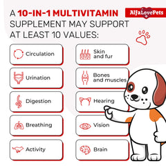 Complexe 10-en-1, vitamine liquide polyvalente pour chiens et chats, Alfa Love Pets.