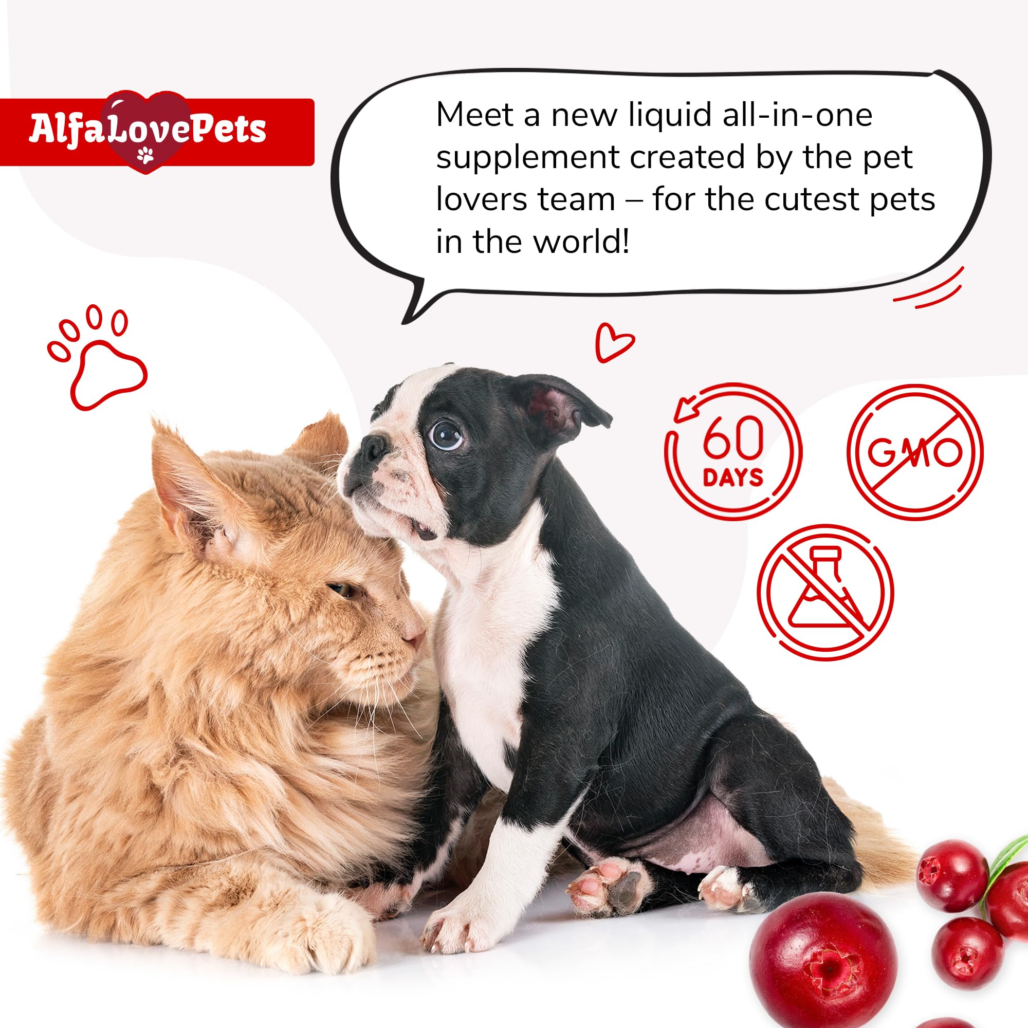 Pelage brillant et peau saine grâce au complément Alfa Love Pets.