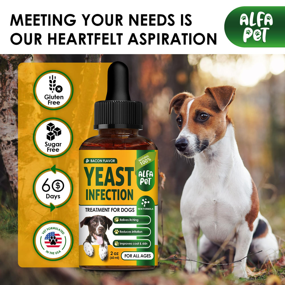 Alfa Pet flacon-liquide-bacon, support potentiel pour digestion facile.