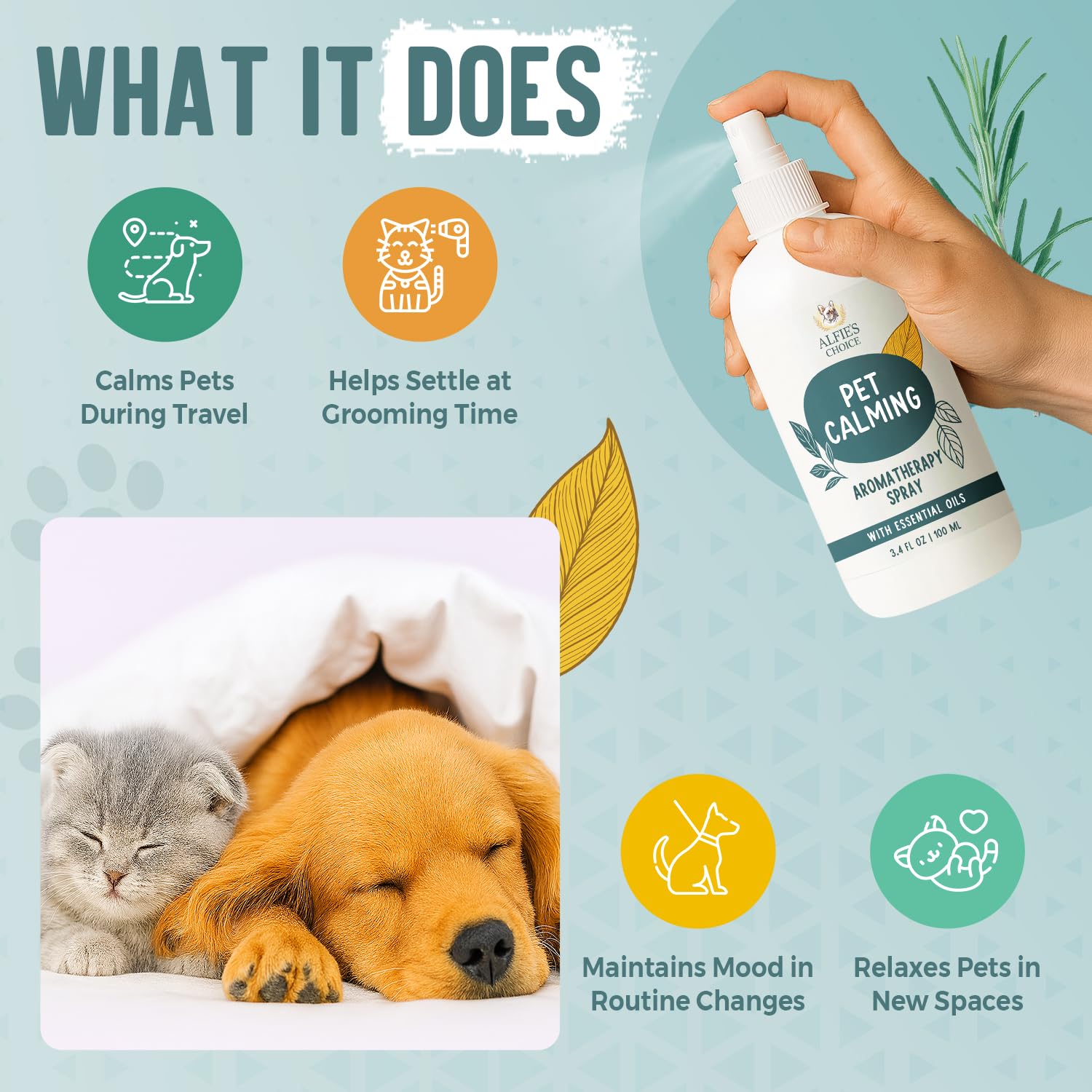 ALFIE'S CHOICE bouteille de voyage pratique pour chiens