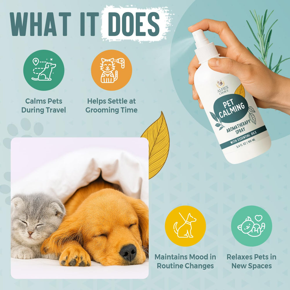 ALFIE'S CHOICE bouteille de voyage pratique pour chiens