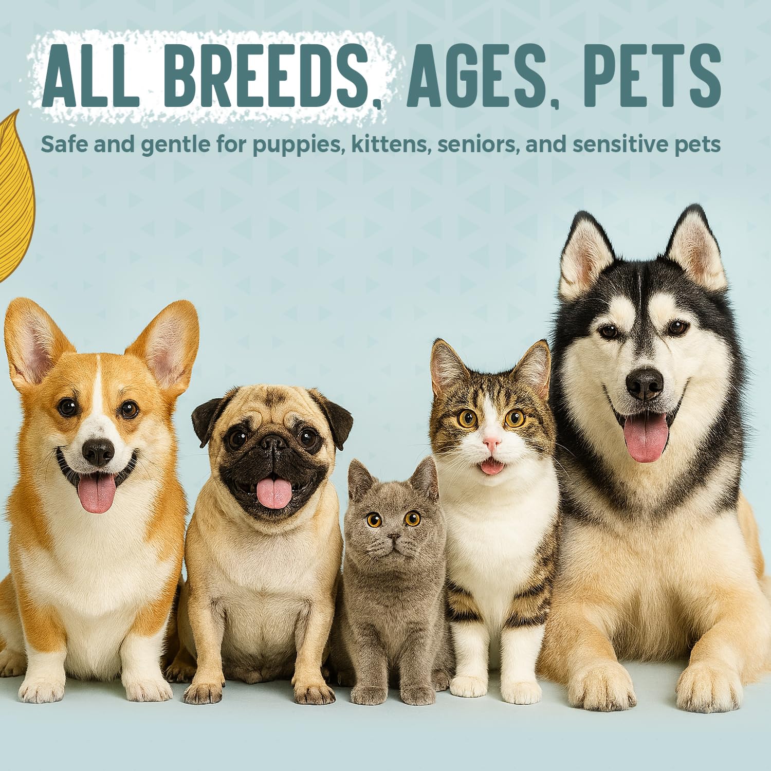 ALFIE'S CHOICE formulation sans alcool respecte l’environnement du chien
