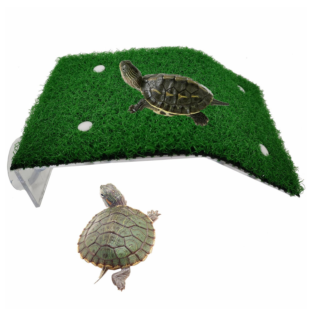 alfyng plateforme repos tortue : espace sûr pour repos au soleil.