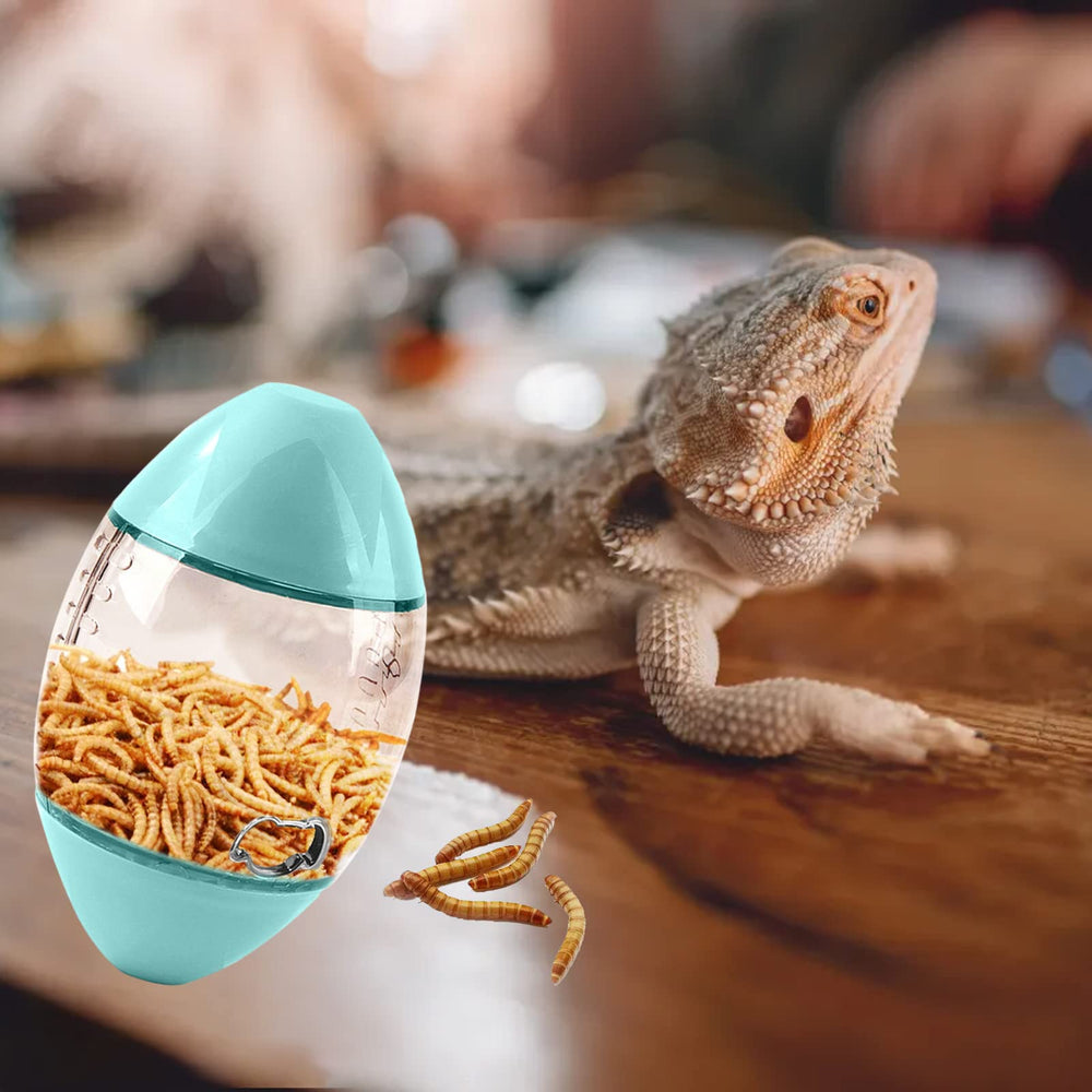 ALI2 Lizard Feeder cadeau reptile, parfait pour surprendre votre animal et enrichir ses activités.