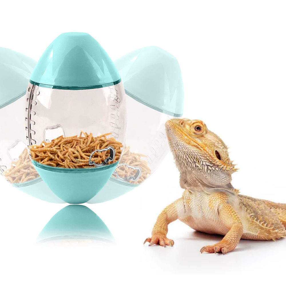 ALI2 Lizard Feeder décor terrarium, ajoute du charme tout en stimulant l’alimentation.