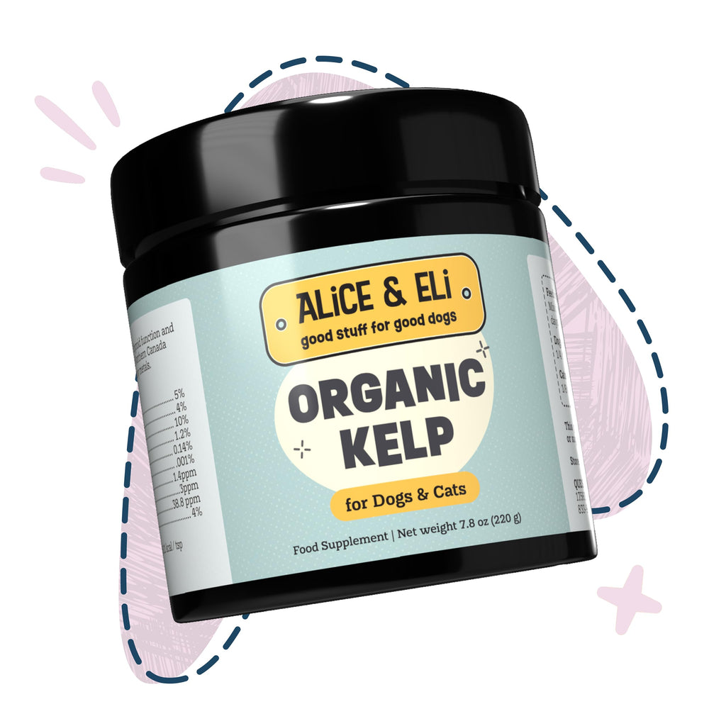 Alice et Eli algue kelp soutient peau et fourrure du chien