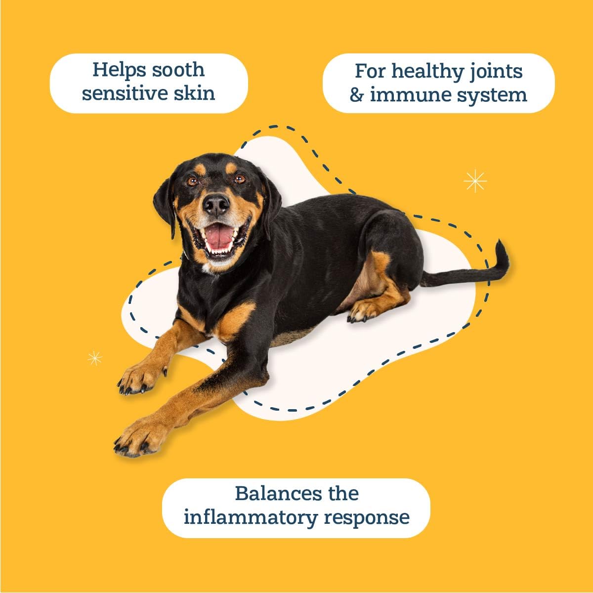 Alice & Eli Happy Skin – Ingrédients clés quercétine et bromélaïne pour chiens sensibles.