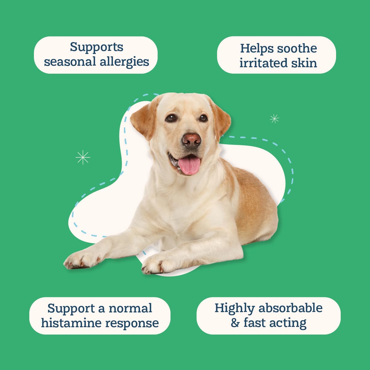 Alice & Eli Quercétine liposomale – absorption plus rapide, soutien possible après allergie.