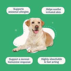 Alice & Eli Quercétine liposomale – absorption plus rapide, soutien possible après allergie.