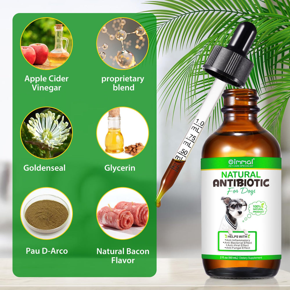 ALIVO antibiotique pour chiens, gouttes et pipette, facile à administrer après repas.