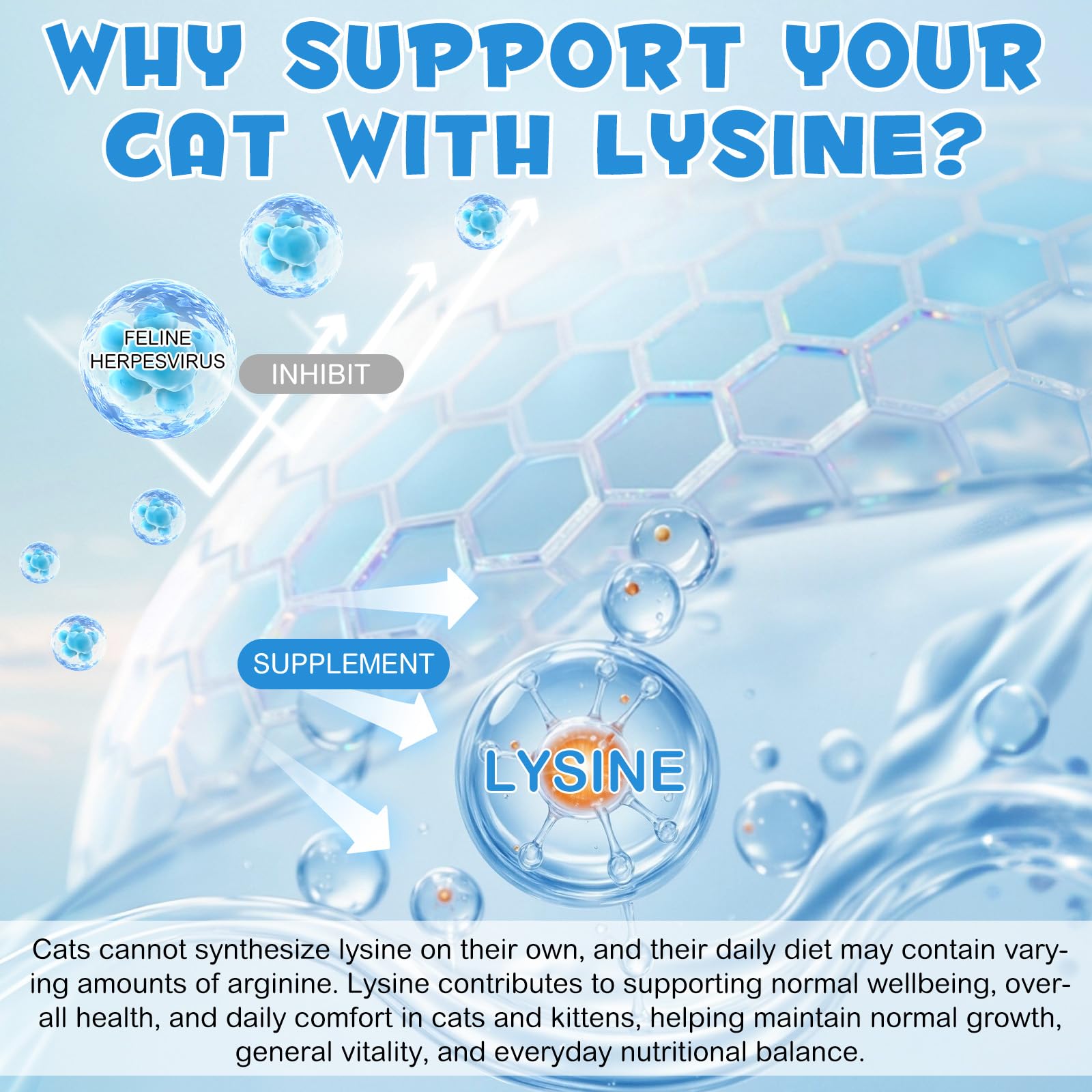 ALIVO L-Lysine: pelage plus brillant et peau saine durablement.